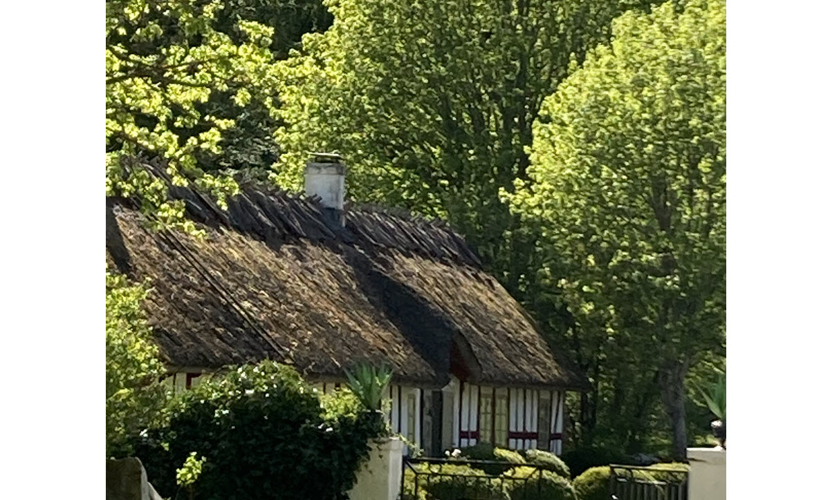 garden medel